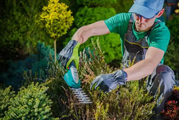 landscaping services Menominee